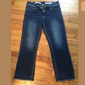 Anthropologie Pilcro crops